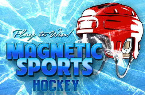 Magnetic Sports Hockey